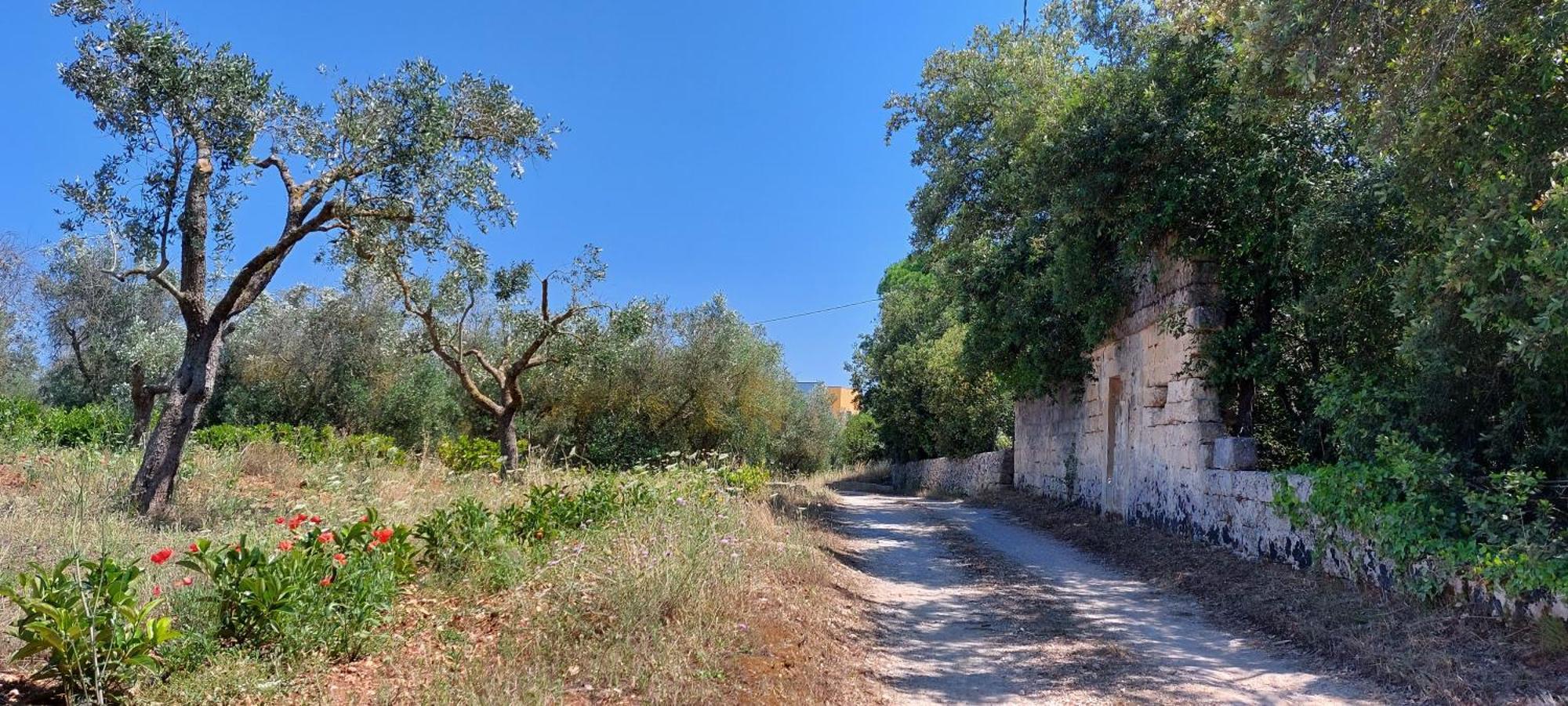 Villa Paradiso Muro Leccese Extérieur photo